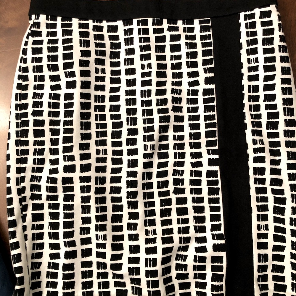 Ann Taylor skirt